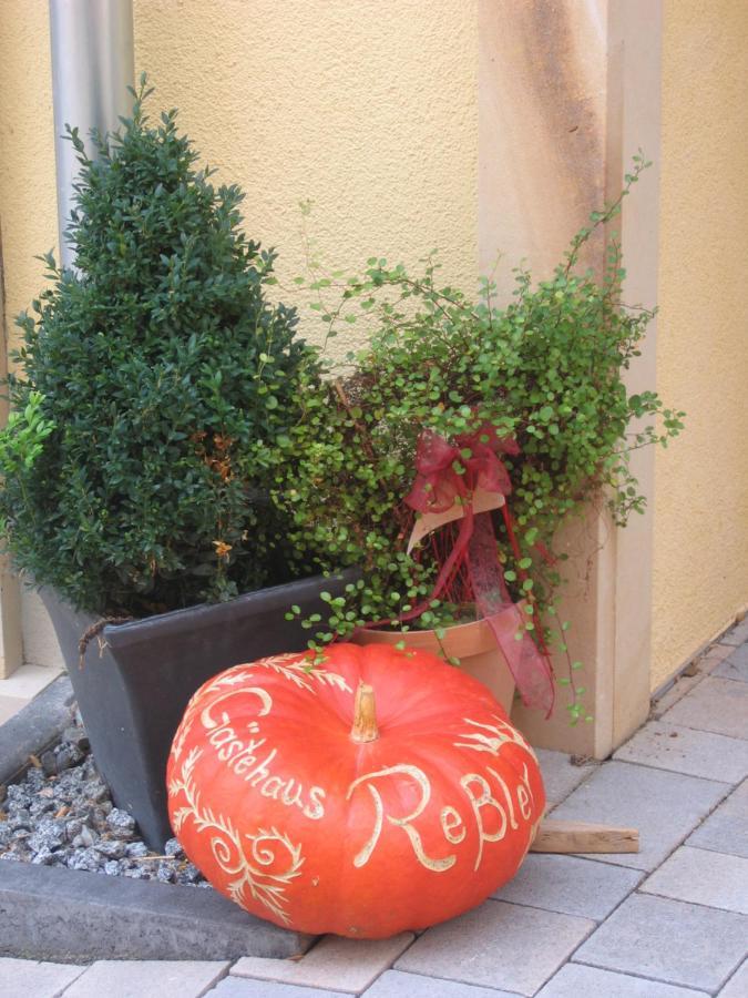 Gaestehaus Ressler Harxheim Bagian luar foto